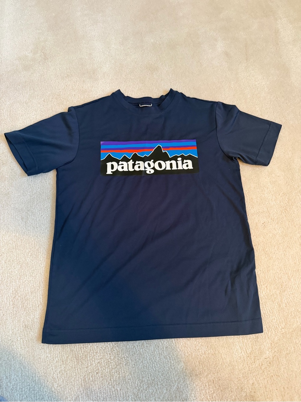 Boys Patagonia Navy Short-Sleeve Logo Tee with Multicolor Stripe